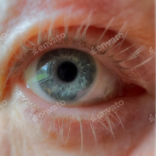 Preview: Closeup of blue eye