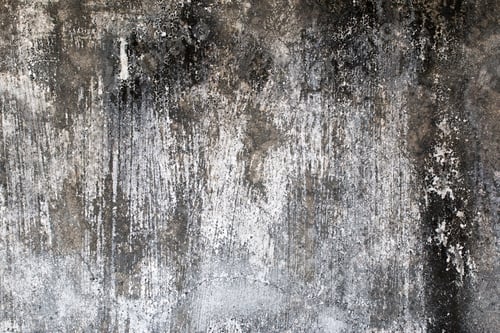 Preview: Light Gray Stucco Wall Texture. Abstract Background