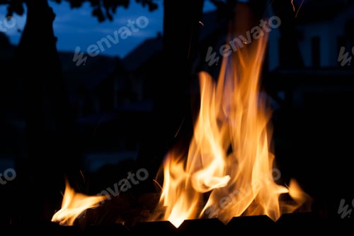 Preview: Fire. The concept of nature.