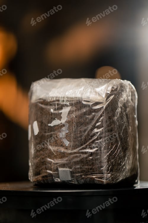 Preview: A mushroom farm that grows mushrooms in plastic bags and organic soil materials on racks natural