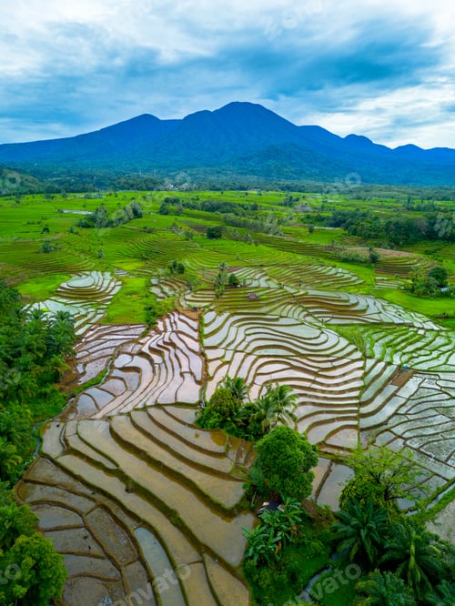 Preview: beautiful morning view from Indonesia