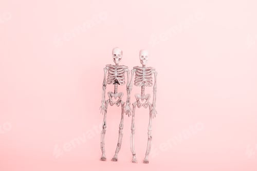 Preview: cute couple of skeletons a pink background