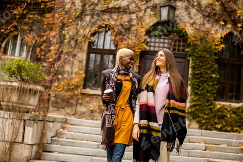 Preview: Pretty young multiethnic friends walking on autumn day