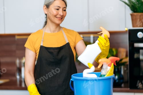 Preview: Asian cleaning lady, gloves, cleaner, kitchen, apron, smiling