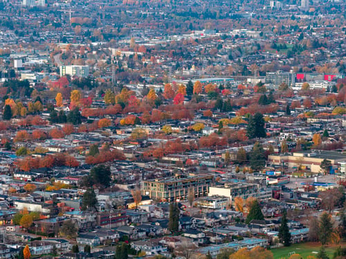 Preview: Aerial View of Burnaby Suburban Neighborhoods in Autumn with Vibrant Fall Colors