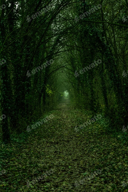 Preview: The Green tunnel