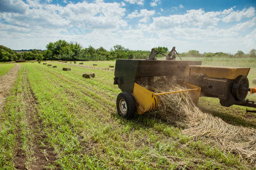 Preview: Tractor collects dry hay on the farm field