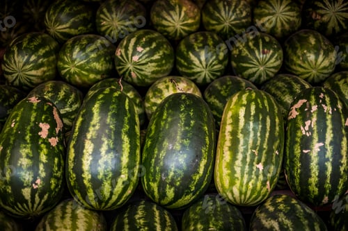Preview: Watermelons for sale in a market in Yangon (Rangoon), Myanmar (Burma)