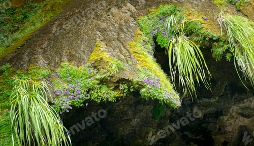 Preview: Abstract Nature Background Of Moss And Flowers