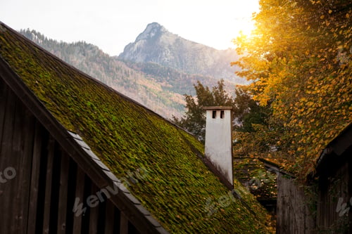 Preview: chimneys on a wooden house