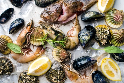 Preview: Fresh seafood with herbs and lemon on ice. Prawns, fish, mussels, scallops over steel metal tray