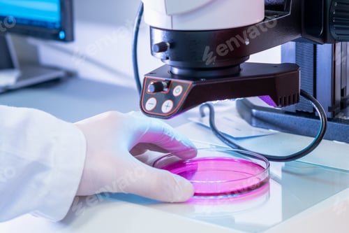 Preview: Scientist in latex gloves and lab coat putting samples under electronic microscope for testing