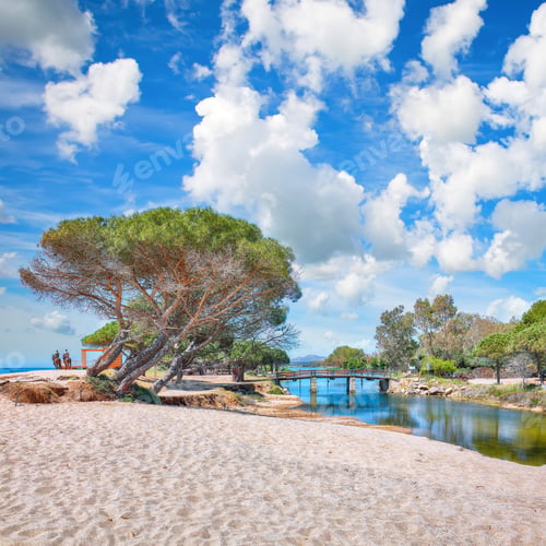Preview: Exciting view of Maritime pine trees and Osala Beach in national park Stagno Longu.
