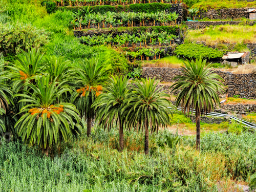 Preview: Hermigua on Gomera
