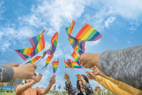 Preview: Diversity people hands raising colorful lgbtq rainbow flags together