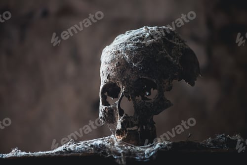 Preview: Scary grunge skull wallpaper. Halloween background.