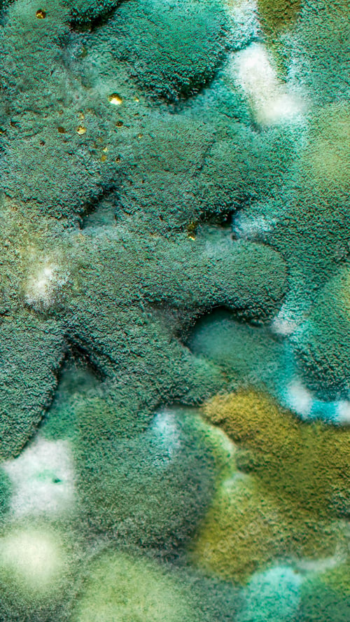 Preview: blue and white mold with an interesting pattern