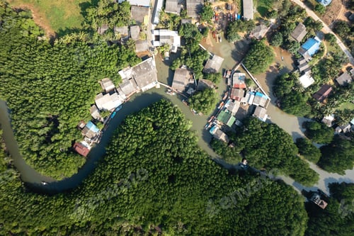 Preview: Seaside villages and mangrove forests on the island