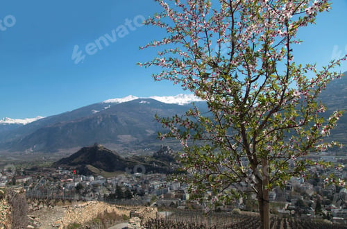 Preview: Sion, Switzerland