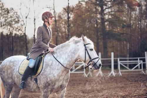 Preview: ↟ Girl in a brown tweed jacket, riding on a gray horse. On the background of autumn nature