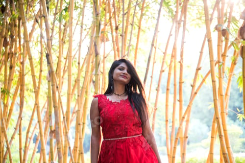 Preview: Happy smiling girl in bamboo forest, Girl red dress walking on bamboo Forest.