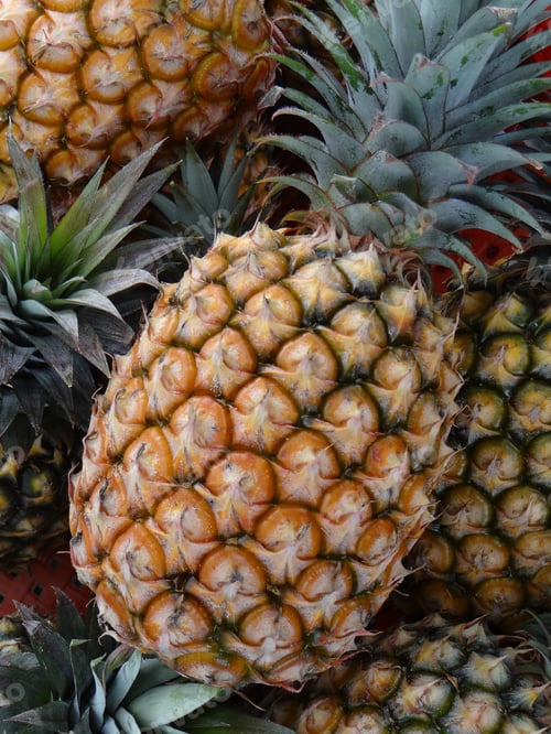 Preview: Closeup vertical shot of pineapples bunch