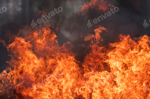 Preview: Fire