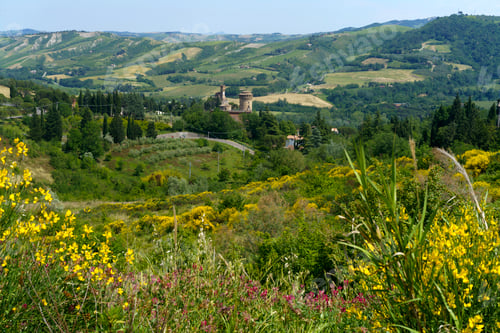 Preview: Rural landscape on the hills near Riolo Terme and Brisighella