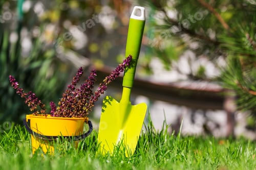Preview: Garden tool