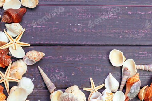 Preview: Different sea shells on color wooden background