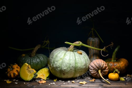 Preview: Thanksgiving or Halloween background from different types of pumpkins