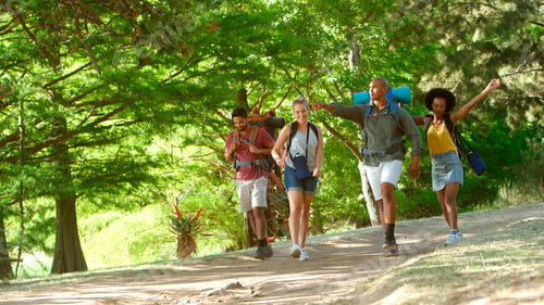 Preview: Group Of Friends With Backpacks On Vacation Hiking Through Forest Countryside Together