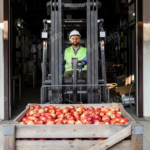 Preview: Distribution, logistics, delivery and storage of fruits for sale and production