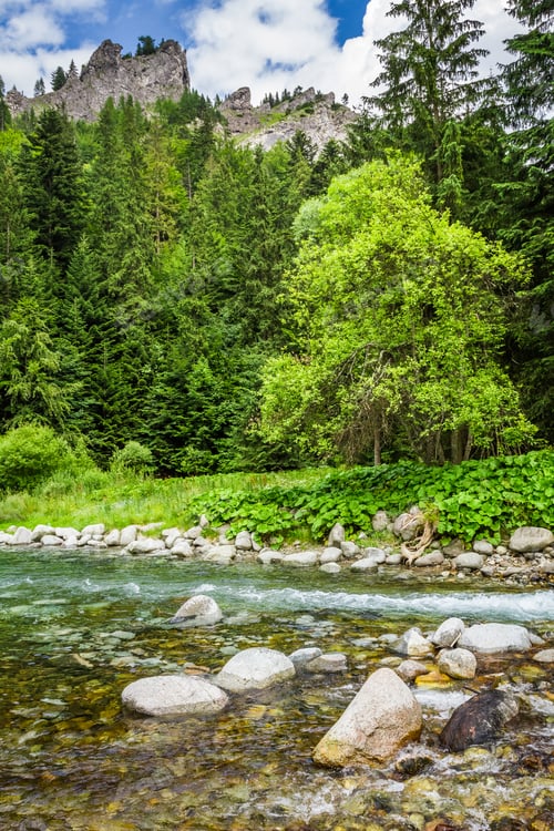 Preview: Mountain stream flowing into a pond on a background of mountains