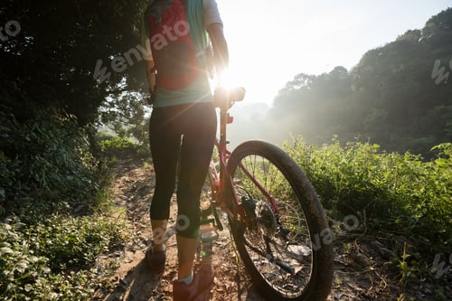 Preview: Young woman cyclist riding mountain bike on summer forest trail