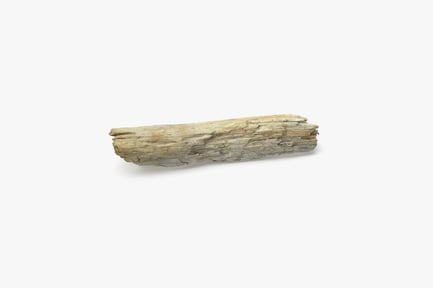 Preview: Weathered Coastal Driftwood Log