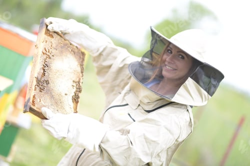 Preview: Beekeeper Working Collect Honey. Beekeeping Concept.