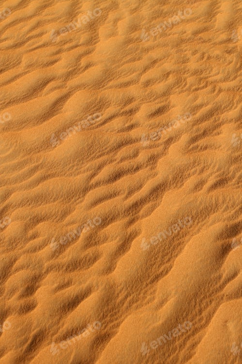Sand Dune Waves in the Desert Sunlight