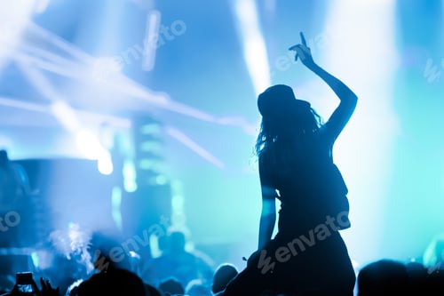 Preview: Picture of dancing crowd at music festival