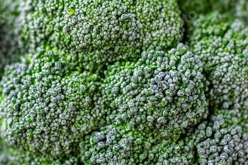Preview: Pattern of broccoli. Macro photo green broccoli texture. Fresh green broccoli vegetable