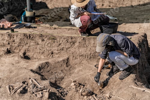 Preview: Archaeologist Working at Archaeology Site