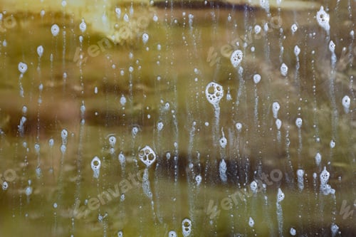 Preview: Background Wet- Raindrop Realistic. Water Splash Shower- Bad Weather. Window- Soap Foam. Rainwater