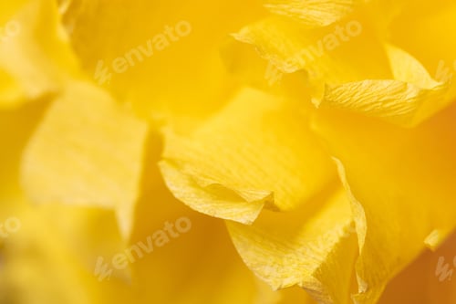 Preview: Fragment of a yellow flower made of crepe paper. Macro photography