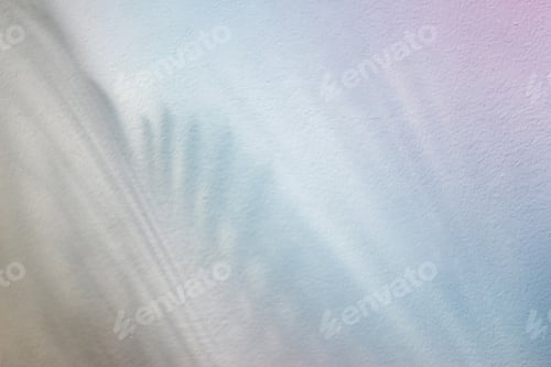 Preview: colorful color shadow palm leaves on wall concrete background