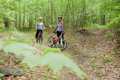 Preview: Two friends enjoying a bike ride in the forest