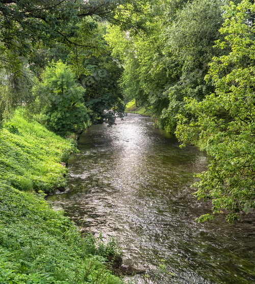 Preview: river banks overgrown with green trees