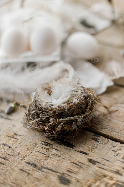 Preview: Nest with feathers, willow branches, linen cloth and natural eggs on aged wooden table. Happy Easter