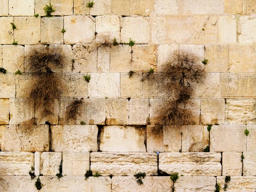 Preview: Wailing Wall