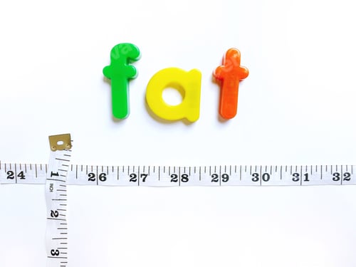 Preview: Fat and social perception