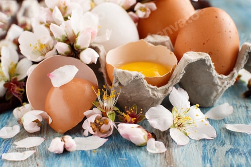 Preview: Сhicken eggs and almond flowers